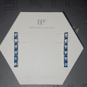 Stunning Silver and Blue Gemstone Earrings